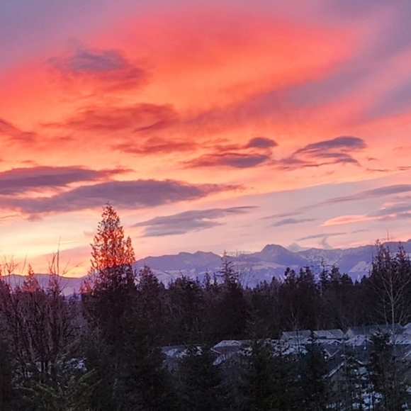 Black Messenger Bag with Adjustable Strap and Vintage Aesthetic - Picture 6 of 6